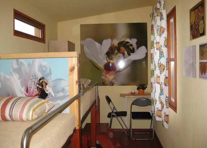 Vcelka Hranice u Novych Hradu