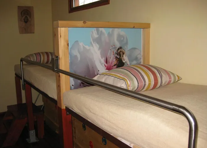 Vcelka Hranice u Novych Hradu